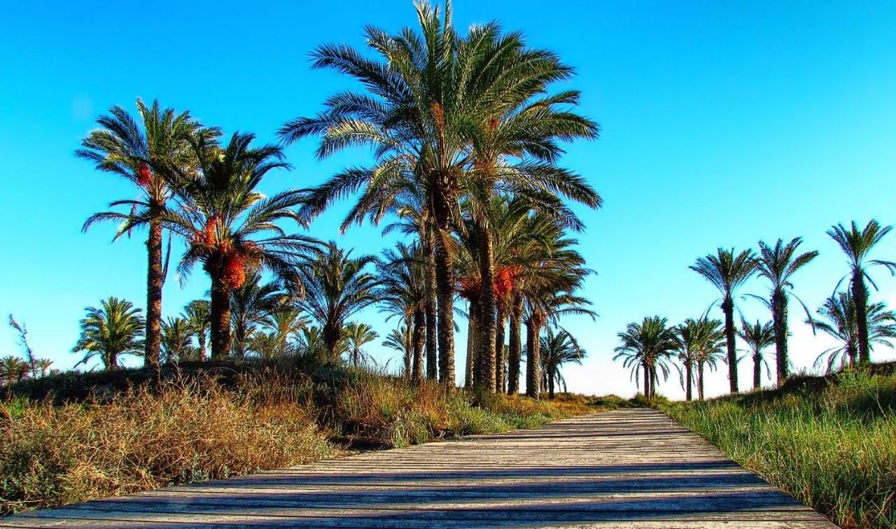 カステリョン・デ・ラ・プラナPiso Centro De Castellonアパートメント エクステリア 写真